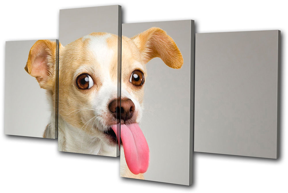Animals Dog Puppy Chihuahua Multi Canvas Wall Art Picture Print VA | eBay