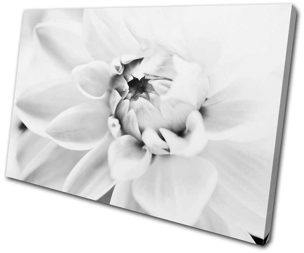 Floral Flower Contemporary SINGLE CANVAS WALL ART Picture Print VA eBay